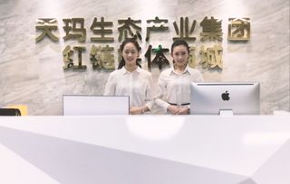 致力下一個(gè)電商紅海 天瑪集團(tuán)引領(lǐng)互聯(lián)網(wǎng)新時(shí)代發(fā)展